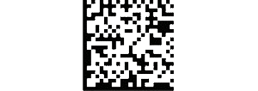 A GS1 Data Matrix Barcode by Viziotix. Viziotix barcode reader SDK. Viziotix barcode decoder SDK.